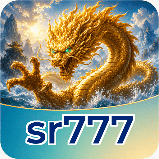 Security Audit - sr777 Comprehensive Analysis